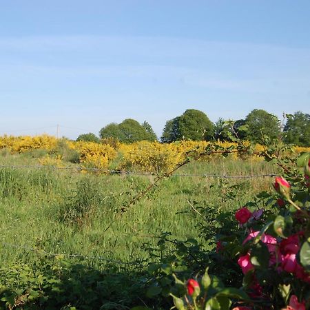 Bed and Breakfast Le Pont St Michel Maen Roch Esterno foto